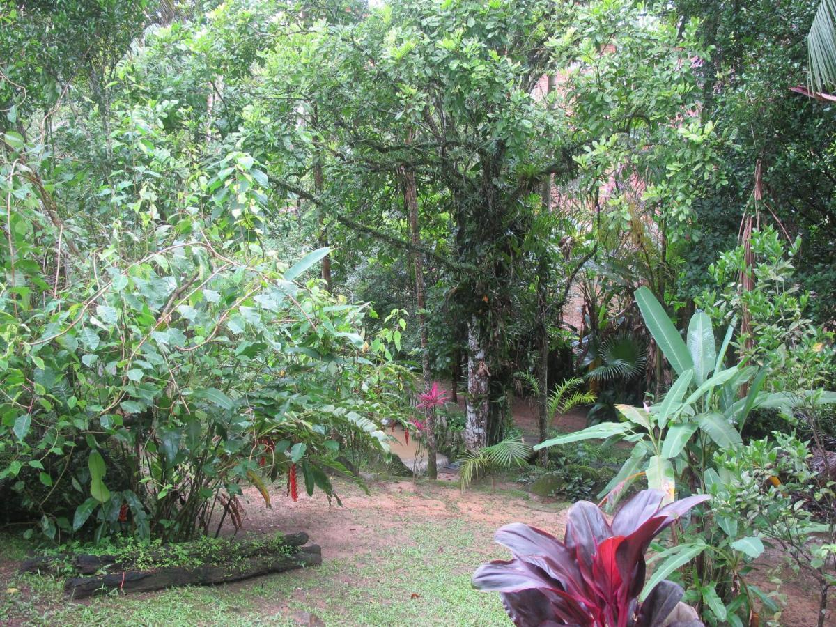 Janela Dos Meus Sonhos Villa เปเนโด ภายนอก รูปภาพ