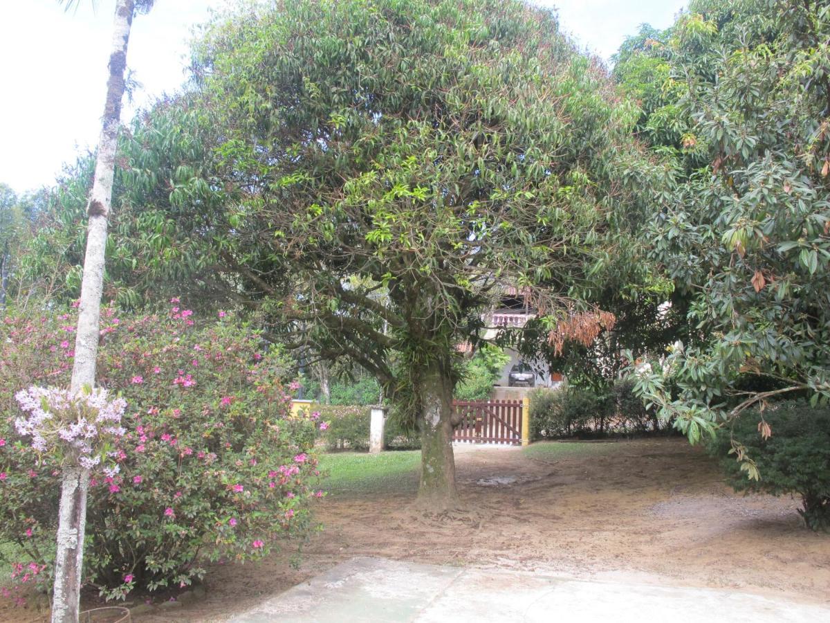 Janela Dos Meus Sonhos Villa เปเนโด ภายนอก รูปภาพ